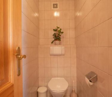 Pfarrwerfen Apartment | Family-Friendly Ferienwohnung Antonia with High Guest Ratings