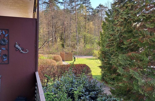 Schontal Apartment | Cozy Retreat for 2 Guests in Ludwigswinkel with Kitchen
