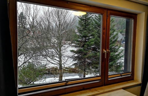 Menzenschwand-Hinterdorf Apartment | Cozy Apartment for 5 Guests in Sankt Blasien