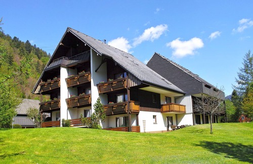 Menzenschwand-Hinterdorf Apartment | Cozy Getaway for Two in Sankt Blasien with Spa Access