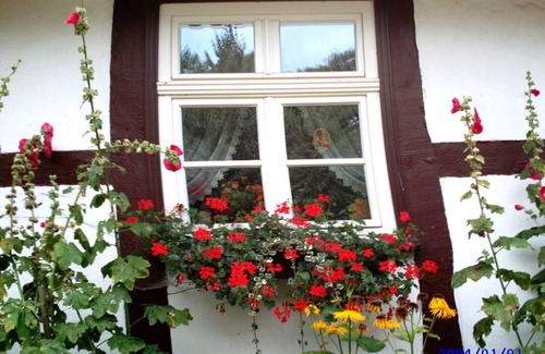 Muritz Apartment | Cozy 75m² Apartment for 5 Guests in Ulrichshusen
