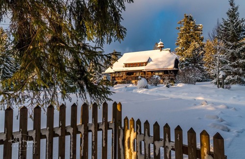 Schluchsee Apartment | Cozy Apartment for 4 Guests Near Schluchsee - Top Rated!