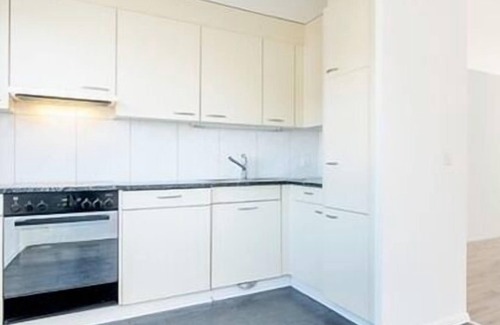Lucerne Apartment | Spacious 4-Person Apartment in Beautiful Luzern