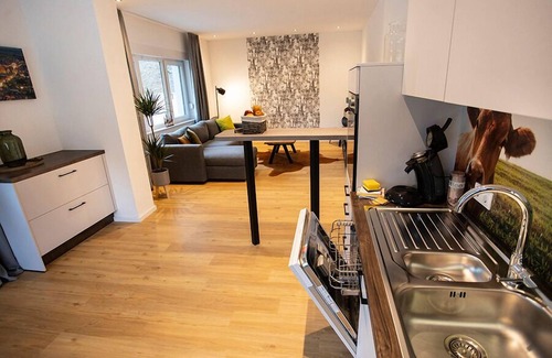 Brilon Apartment | Inviting Apartment for 4 with Spa & Kitchen in Brilon