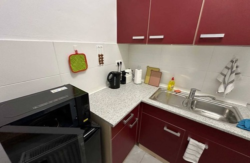 Gera Apartment | Cozy Apartment for 4 with Kitchen & Pet-Friendly Amenities