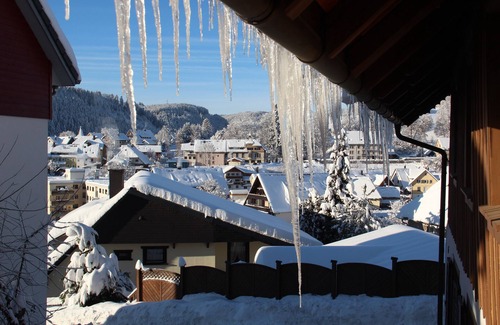 Lenzkirch Apartment | Perfect Retreat for 5 with Kitchen in Lenzkirch