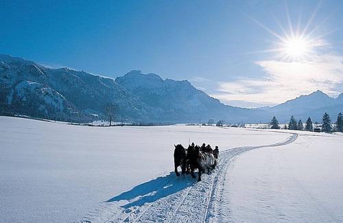 Waltenhofen Apartment | Cozy Apartment for 4 Guests in Beautiful Schwangau