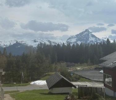 Mitloedi Apartment | Discover Arvenbüel Bergtraum: Oceanfront Pet-Friendly Escape