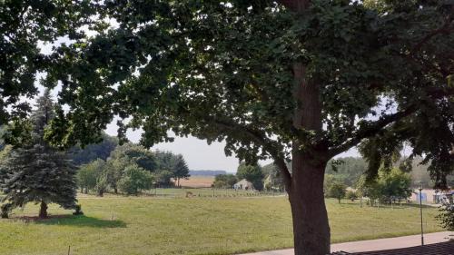 Grabow-Below Apartment | Explore the Tranquil Ferienwohnung in Müritz Region