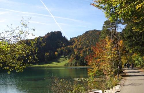 Vils Apartment | Discover Ferienwohnung Auszeit: Family-Friendly Retreat