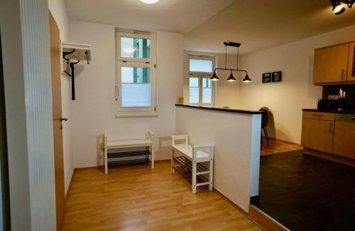 Old Town Apartment | Family-Friendly Ferienwohnung Badstaven with Pet Perks