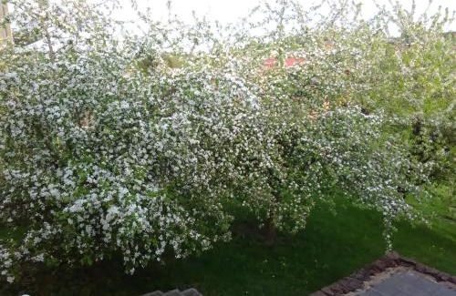 Olk Apartment | Family-Friendly Stay at Ferienwohnung Barzen, Rated 7.8/10