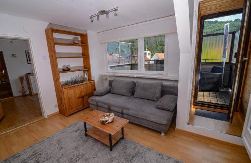 Oker Apartment | Family-Friendly Ferienwohnung Bergblick with High Guest Ratings