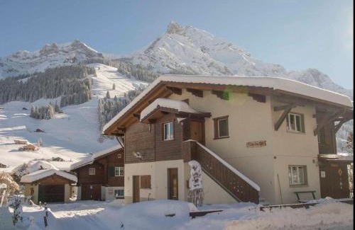Adelboden Apartment | Charming Ferienwohnung Bim Stei: Family & Pet Friendly Escape