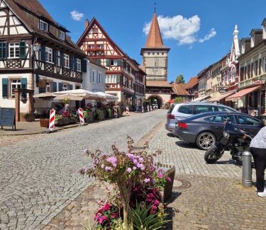 Gengenbach Apartment | Child-Friendly Ferienwohnung Blumenfeld - Guest Rated 9.8