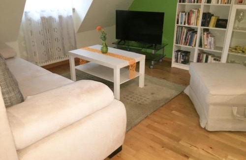 Brombachtal Apartment | Pet-Friendly Ferienwohnung Boellsteiner Hoehe with Top Reviews