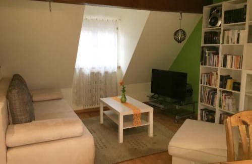 Brombachtal Apartment | Pet-Friendly Ferienwohnung Boellsteiner Hoehe with Top Reviews
