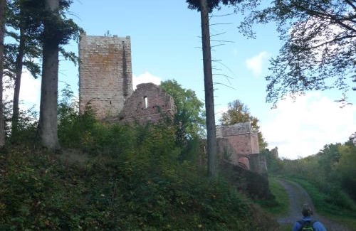 Brombachtal Apartment | Pet-Friendly Ferienwohnung Boellsteiner Hoehe with Top Reviews