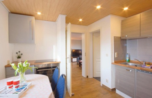 Parchtitz Apartment | Family-Friendly Ferienwohnung-Bruchalla with Kitchen Amenities