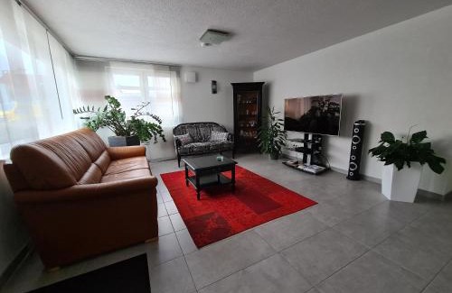 Arnbach Apartment | Exquisite Ferienwohnung Buchberg With Top Amenities