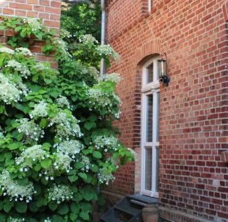 Muritz Apartment | Top-Rated Ferienwohnung Buchholz - Family-Friendly Retreat