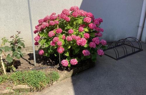 Pamhagen Apartment | Family-Friendly Retreat at Ferienwohnung Casa Flora, 9.2/10