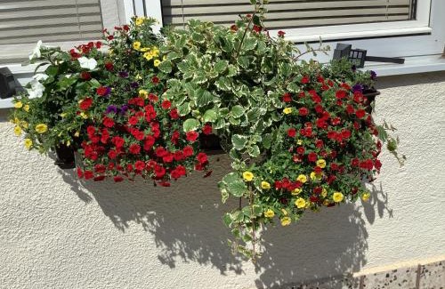 Pamhagen Apartment | Family-Friendly Retreat at Ferienwohnung Casa Flora, 9.2/10