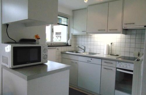 Sedrun Apartment | Family-Friendly Retreat at Ferienwohnung Casa Plauns-iu