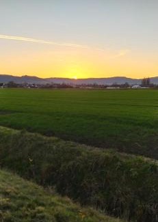 Salzhemmendorf Apartment | Family-Friendly Ferienwohnung Colin in Beautiful Weserbergland