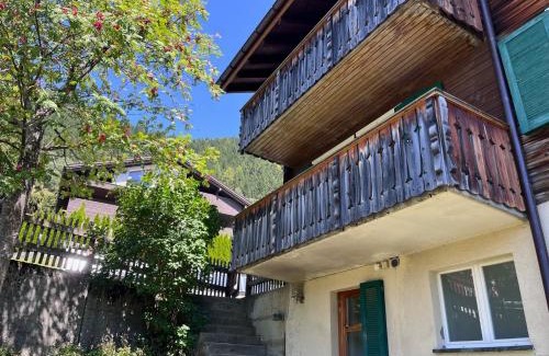 Sedrun Apartment | Ferienwohnung Dachnest