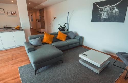 Uehlingen-Birkendorf Apartment | Beautiful Ferienwohnung Steinablick with Balcony & Garage