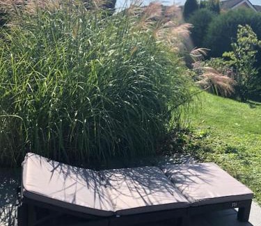 Ludwigshafen Apartment | Serene Retreat with Garden Terrace Near Scenic Lakes