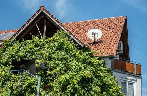 Kappel-Grafenhausen Apartment | Family-Friendly Ferienwohnung Leon with Top Guest Rating