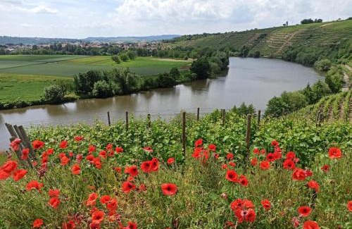 Kirchheim am Neckar Apartment | Ferienwohnung Schmid