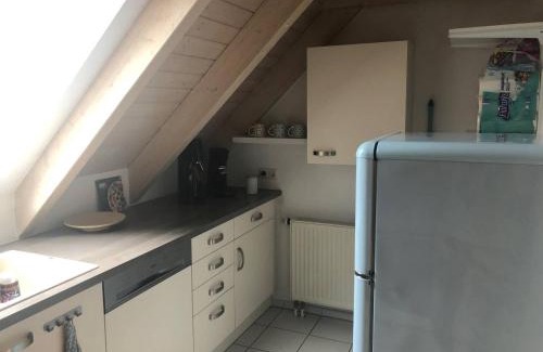 Uhldingen-Muehlhofen Apartment | Experience Oceanfront Bliss at Ferienwohnung Ankerplatz