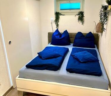 Berlingen Apartment | Cozy Getaway by Lake Constance with Pet-Friendly Amenities