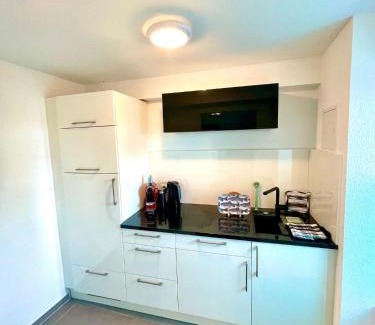 Berlingen Apartment | Cozy Getaway by Lake Constance with Pet-Friendly Amenities