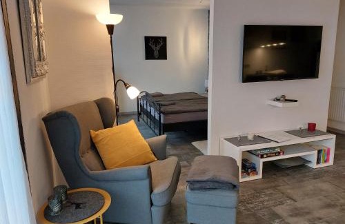 Bad Harzburg Apartment | Elegant Ferienwohnung Domicile with Pool & Sauna Access