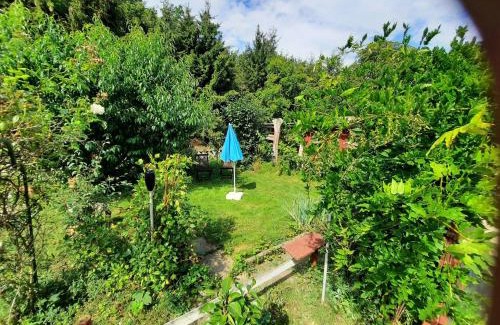 Bad Harzburg Apartment | Pet-Friendly Ferienwohnung Eldorstal in Bad Harzburg