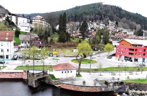 Bad Wildbad Apartment | Exceptional Ferienwohnung Enzblick: Family-Friendly Retreat