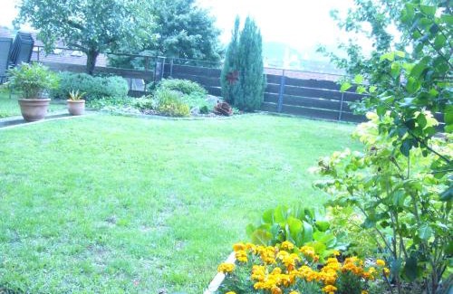 Grenzach-Wyhlen Apartment | Family-Friendly Ferienwohnung Erika with Top Guest Ratings