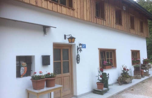 Pettenbach Apartment | Discover Ferienwohnung Eschermühle: Pet & Child Friendly Stay