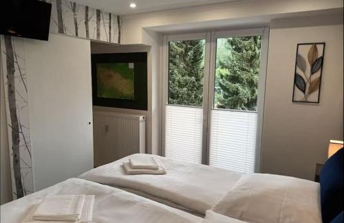 Bad Grund Apartment | Ferienwohnung Feel Glueck