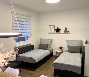 Fischerbach Apartment | Pet and Child-Friendly Retreat in Fischerbach im Kinzigtal