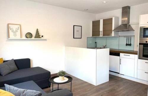 Fischerbach Apartment | Pet and Child-Friendly Retreat in Fischerbach im Kinzigtal