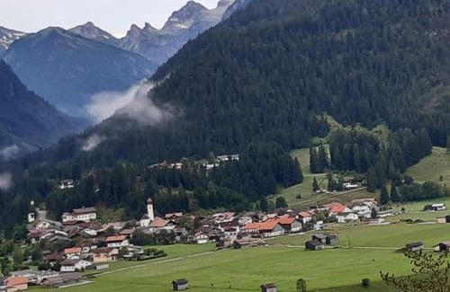 Vorderhornbach Apartment | Top-Rated Ferienwohnung Frauenschuh: Pet & Child Friendly Stay