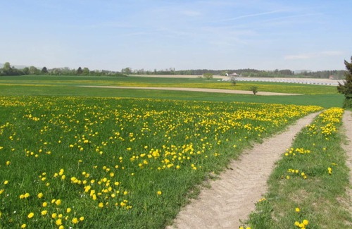 Ravensburg Apartment | Ferienwohnung Gänseblümchen, 65qm, 1 Schlafraum, max. 3 Personen