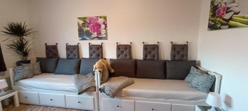 Dahlen Apartment | Ferienwohnung Gentsch in Schmannewitz