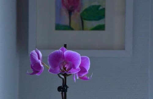 Mainz-Bingen Apartment | Experience the Comfort of Ferienwohnung Germaniablick