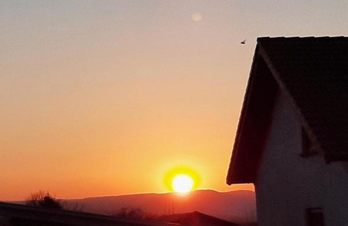 Andernach Apartment | Family-Friendly Ferienwohnung Gutowski with Top Guest Ratings